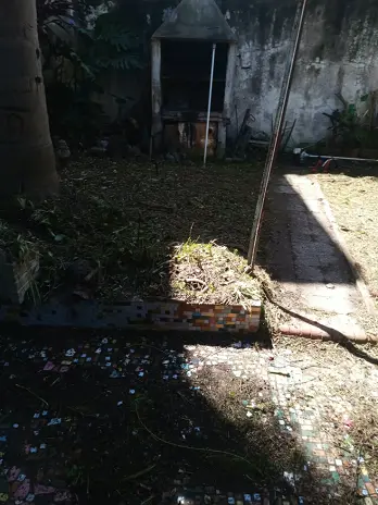 Limpieza de Jardín y Desmalezado en Saavedra - imagen 18