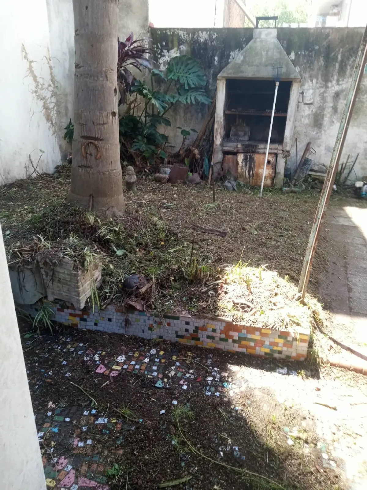 Limpieza de Jardín y Desmalezado en Saavedra