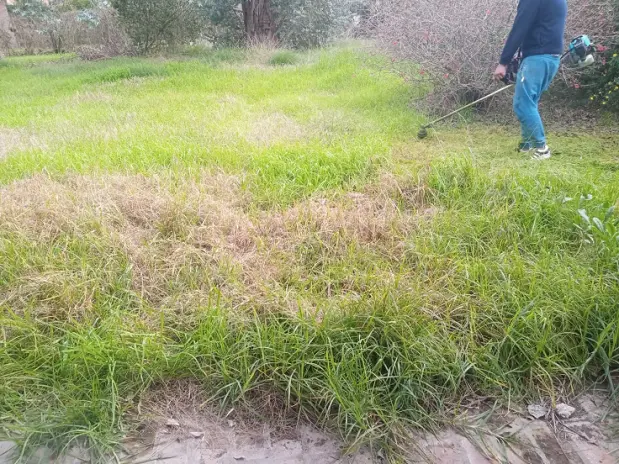 ¿Necesitás limpiar un terreno? Servicio de desmalezado y limpieza en Buenos Aires - imagen 1
