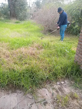 ¿Necesitás limpiar un terreno? Servicio de desmalezado y limpieza en Buenos Aires - imagen 3