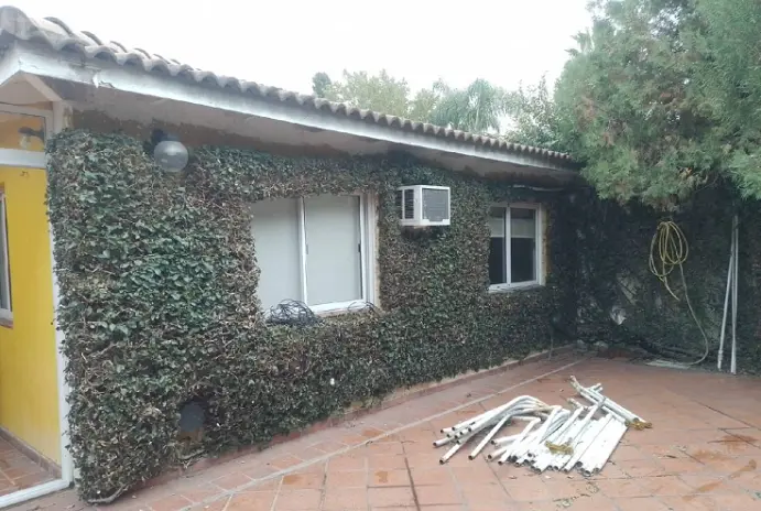 Poda y Corte de Cerco en Villa Ballester - imagen 7