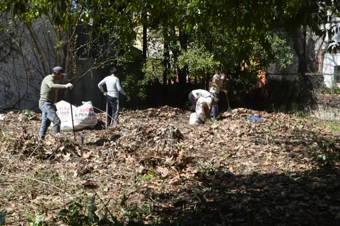 ¿Necesitás limpiar un terreno? Servicio de desmalezado y limpieza en Buenos Aires - imagen 8