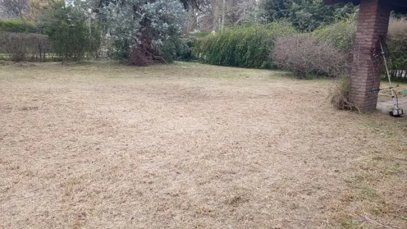 ¿Necesitás limpiar un terreno? Servicio de desmalezado y limpieza en Buenos Aires - imagen 9
