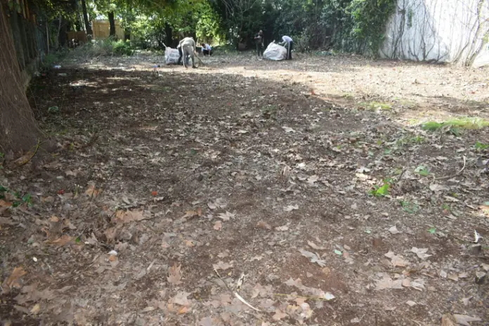 ¿Necesitás limpiar un terreno? Servicio de desmalezado y limpieza en Buenos Aires - imagen 10