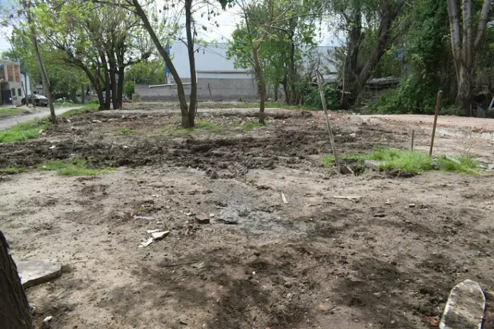 ¿Necesitás limpiar un terreno? Servicio de desmalezado y limpieza en Buenos Aires - imagen 11