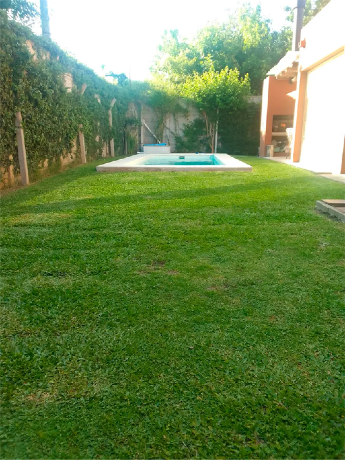 Servicio de Corte y Mantenimiento de Césped en Del Viso