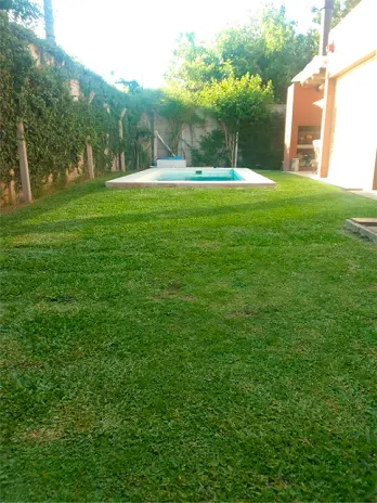 Servicio de Corte y Mantenimiento de Césped en Del Viso