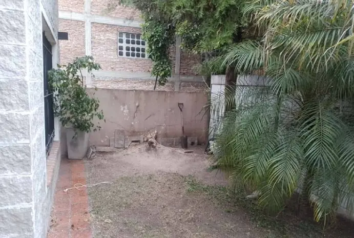 Poda y Corte de Cerco en Villa Ballester - imagen 10