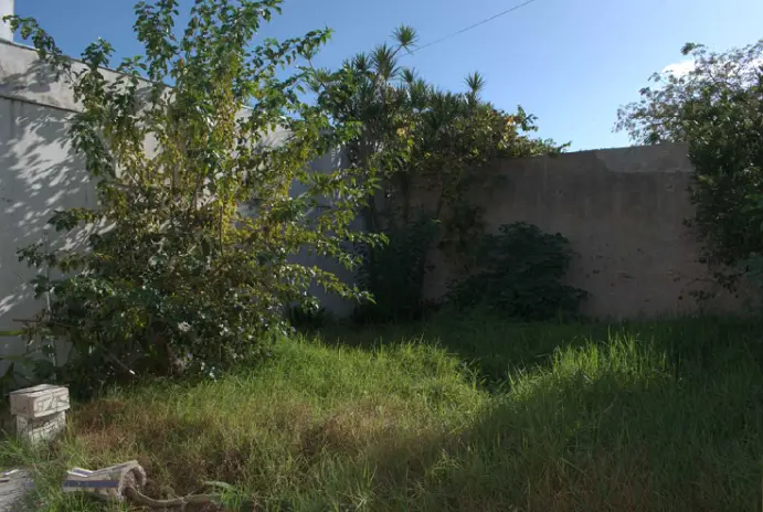 Poda de Árboles, Desmalezado y Limpieza de Terreno en Flores CABA - imagen 1