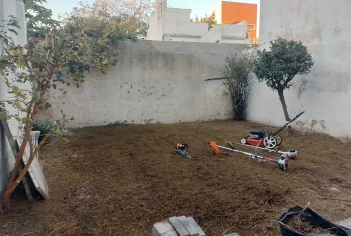 Poda de Árboles, Desmalezado y Limpieza de Terreno en Flores CABA - imagen 8