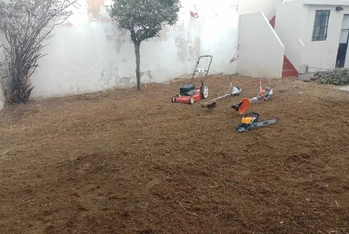 Poda de Árboles, Desmalezado y Limpieza de Terreno en Flores CABA - imagen 10