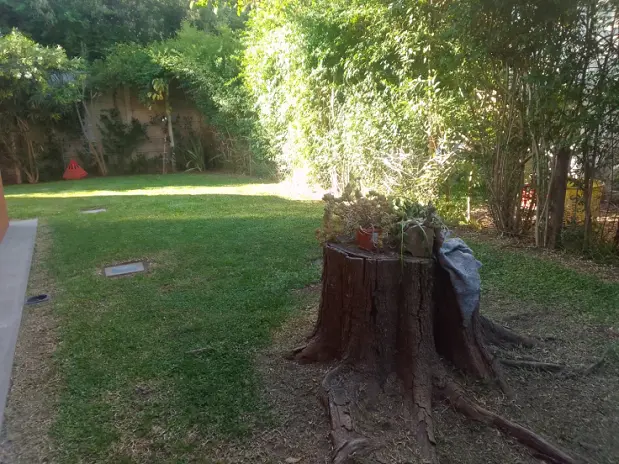 Servicio de Corte y Mantenimiento de Césped en Del Viso - imagen 1