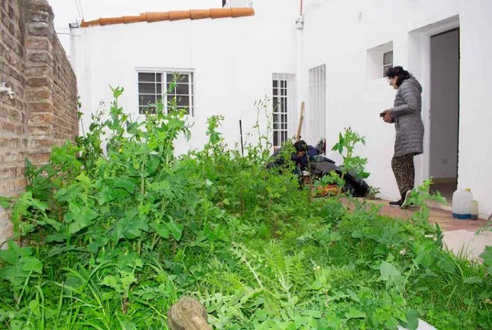 Servicio de Desmalezado de Terreno en San Martín - San Andrés - imagen 3