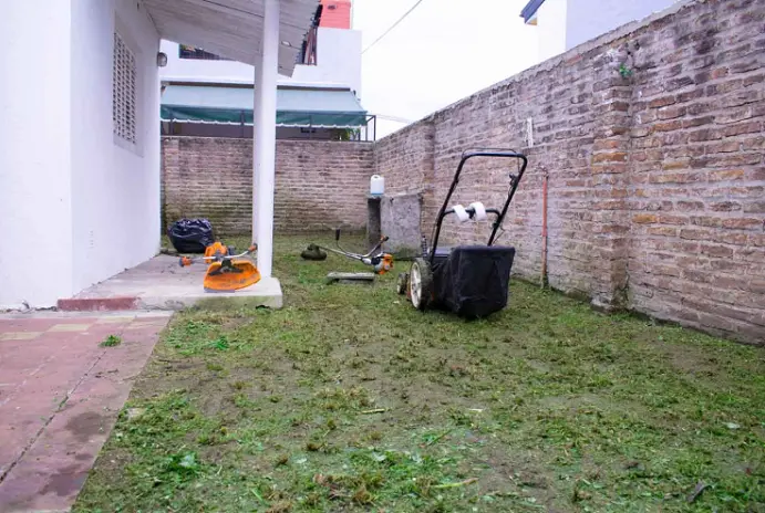 Servicio de Desmalezado de Terreno en San Martín - San Andrés - imagen 8