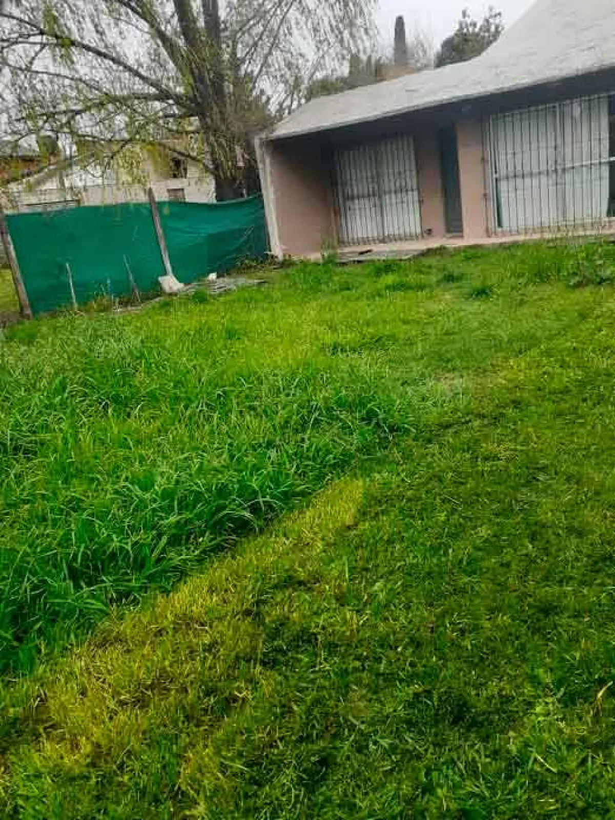 Servicio de Corte de Pasto en Alberti