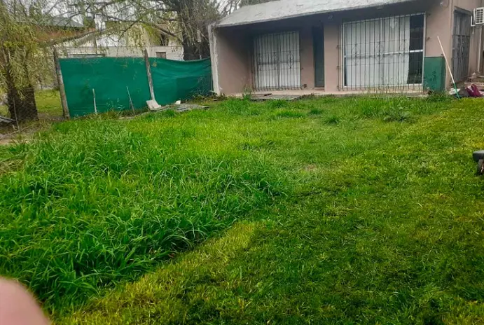 Servicio de Corte de Pasto en Alberti - imagen 1