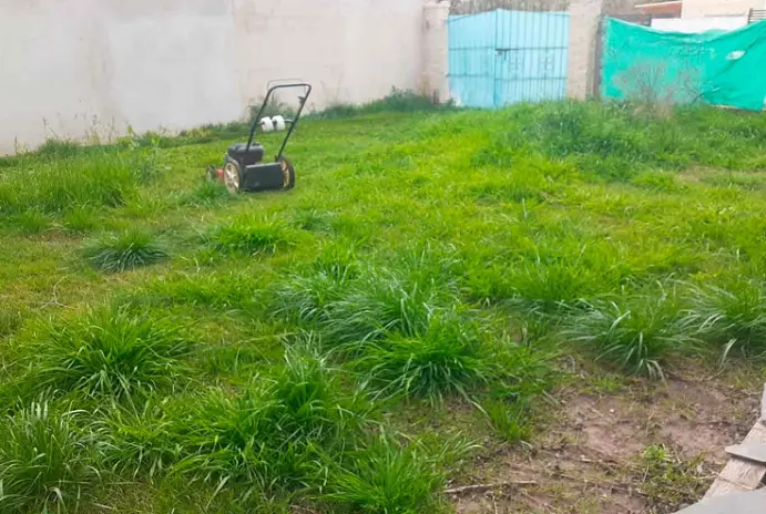 Servicio de Corte de Pasto en Alberti - imagen 2
