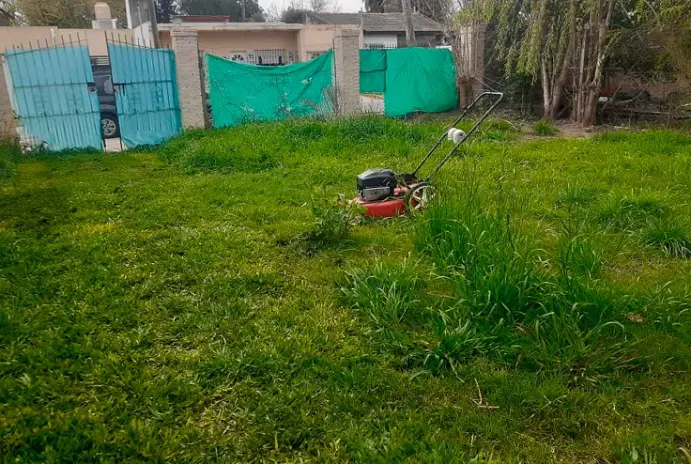Servicio de Corte de Pasto en Alberti - imagen 3