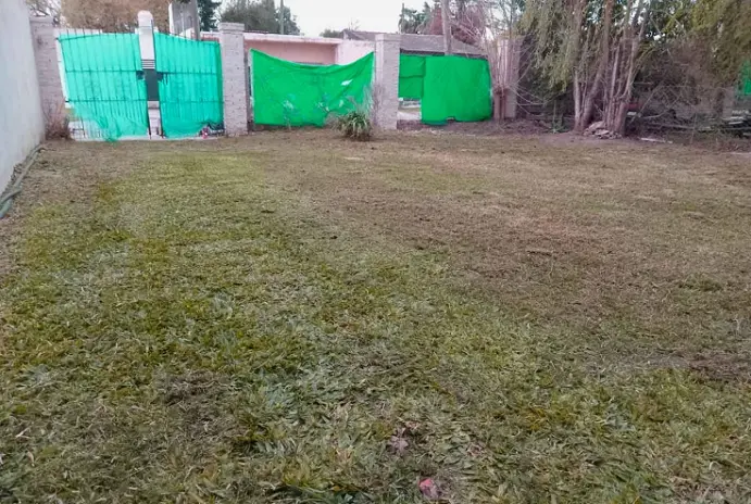 Servicio de Corte de Pasto en Alberti - imagen 7