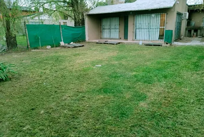 Servicio de Corte de Pasto en Alberti - imagen 8