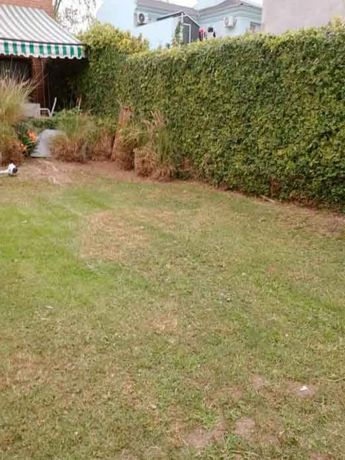 Servicio de Corte de Pasto y Desmalezado en San Fernando - Buenos Aires