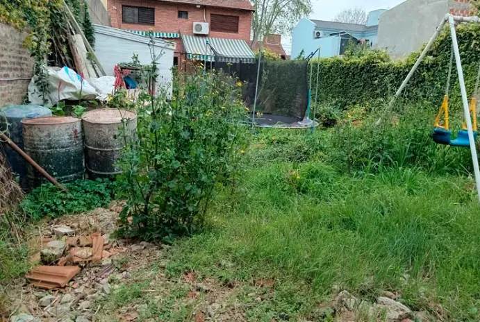 Servicio de Corte de Pasto y Desmalezado en San Fernando - Buenos Aires - imagen 1