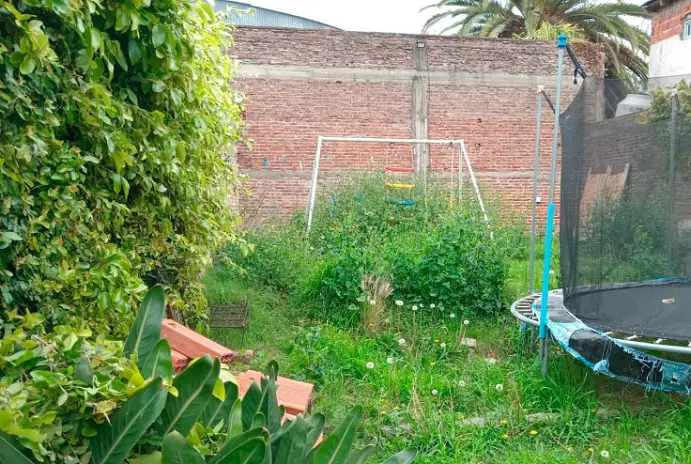Servicio de Corte de Pasto y Desmalezado en San Fernando - Buenos Aires - imagen 2