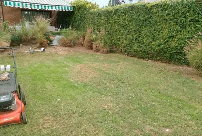 Servicio de Corte de Pasto y Desmalezado en San Fernando - Buenos Aires - imagen 11