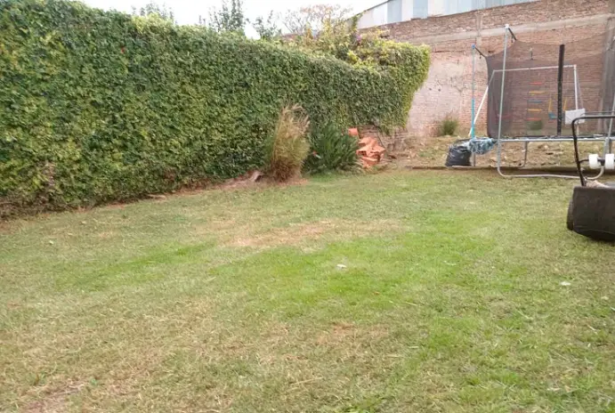 Servicio de Corte de Pasto y Desmalezado en San Fernando - Buenos Aires - imagen 12