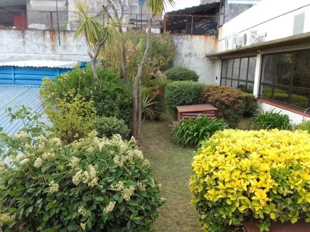 Servicio de Corte de Pasto en San Martín - imagen 1