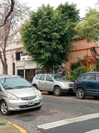 Servicio de Poda de Altura en CABA - imagen 2