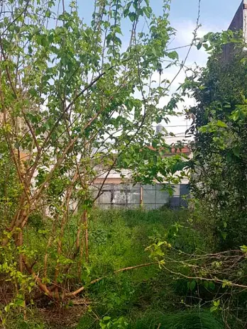 Servicio de Desmalezado de Terreno en Matadero CABA - imagen 1