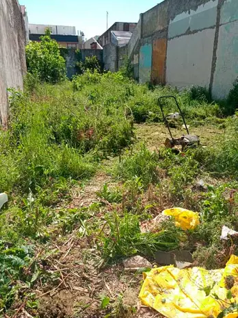 Servicio de Desmalezado de Terreno en Matadero CABA - imagen 2