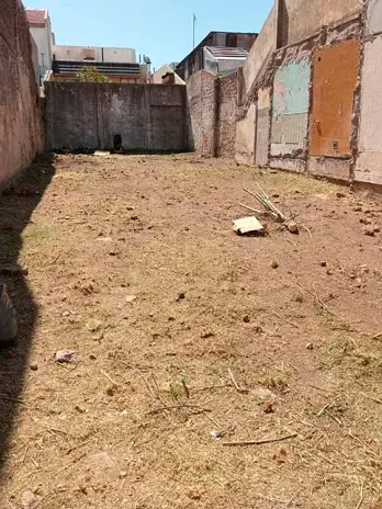 Servicio de Desmalezado de Terreno en Matadero CABA - imagen 3